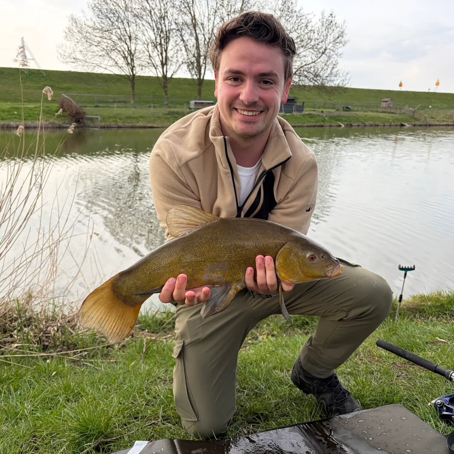 Tench caught on Fishbrain