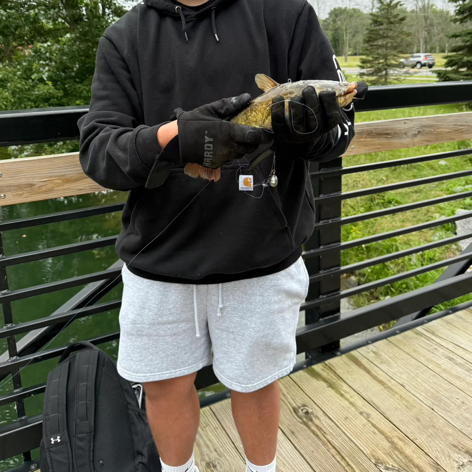 The most recent Flathead catfish catches on Fishbrain