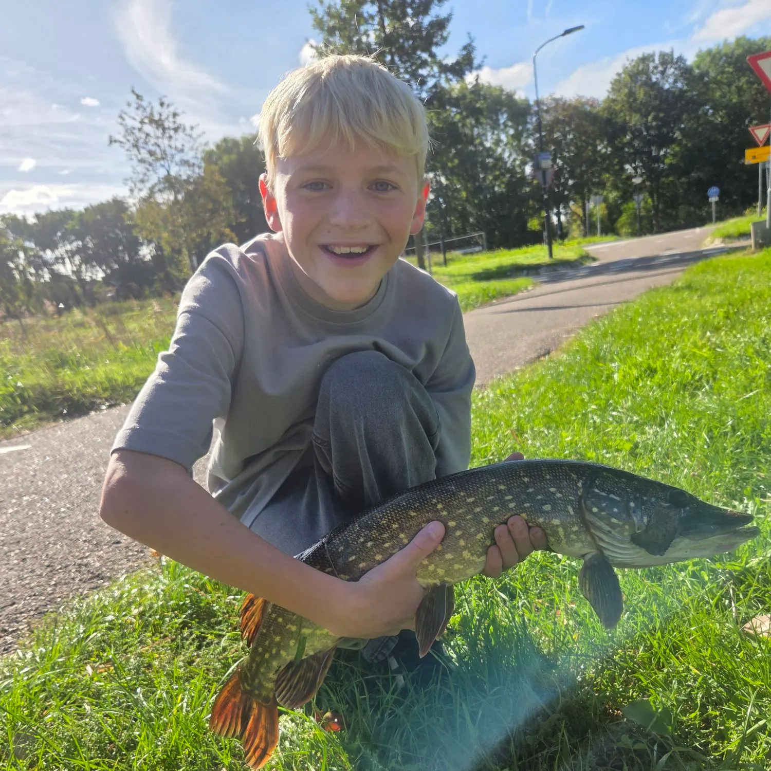 Northern pike caught on Fishbrain