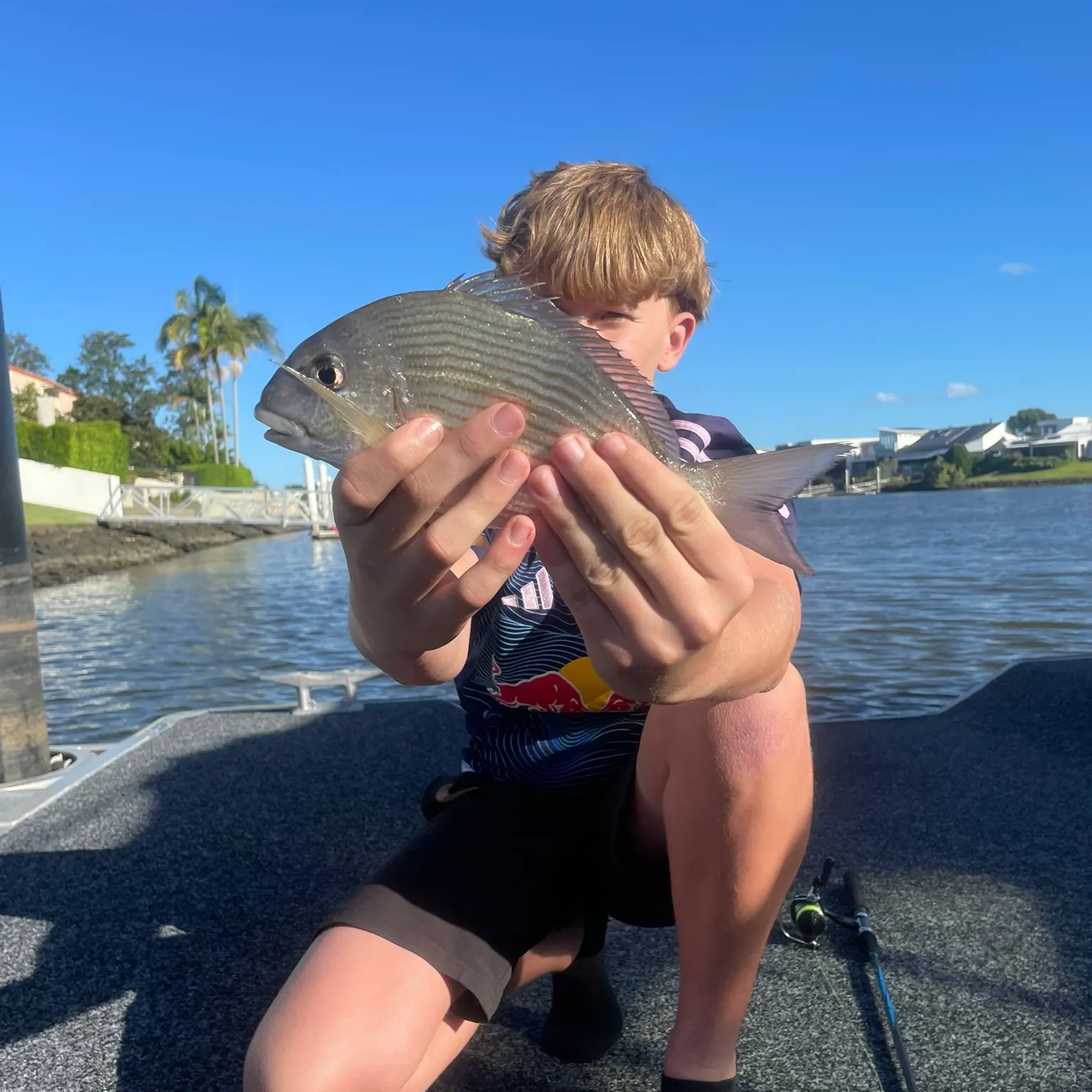 The most recent Goldlined seabream catches on Fishbrain