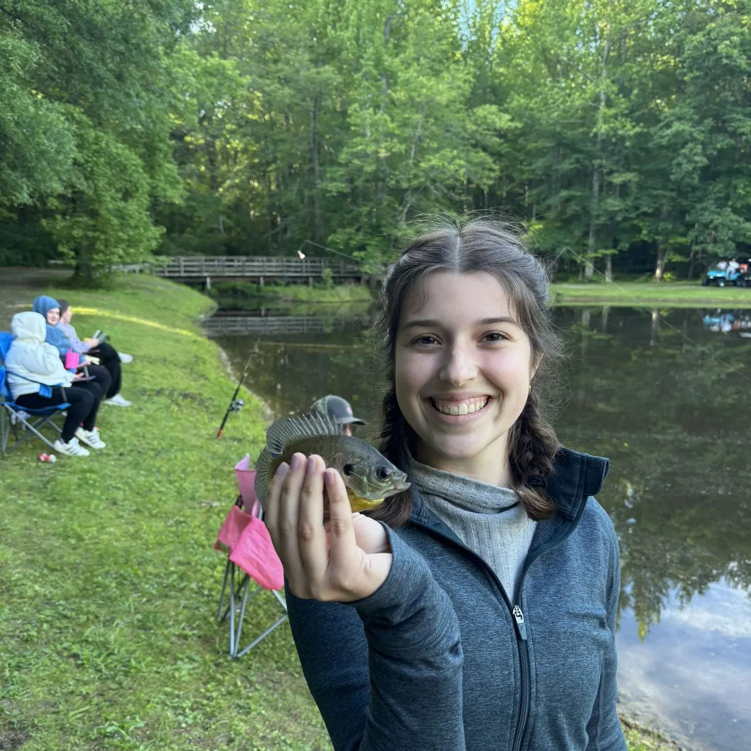 Bluegill caught on Fishbrain