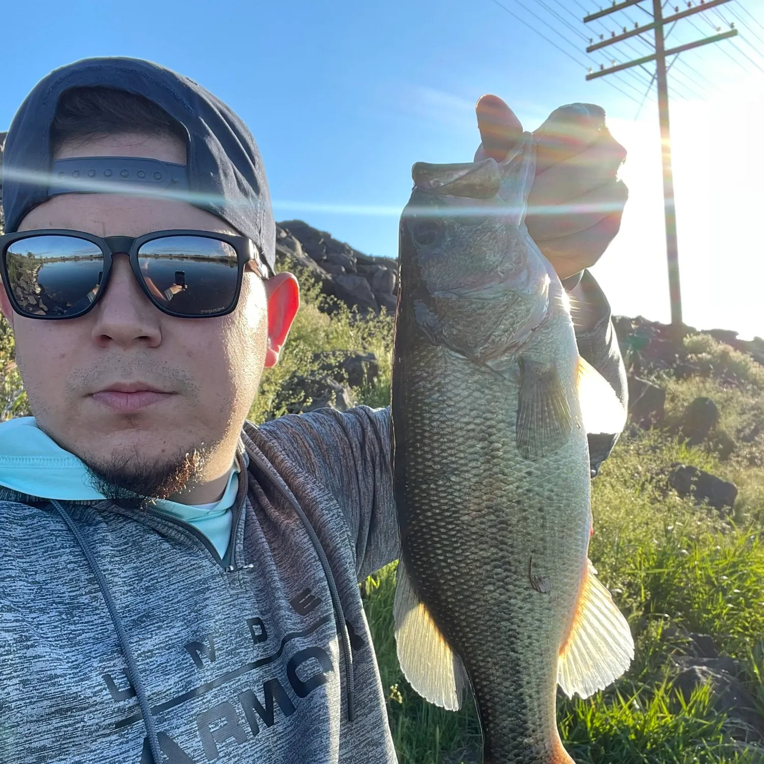 angler catch