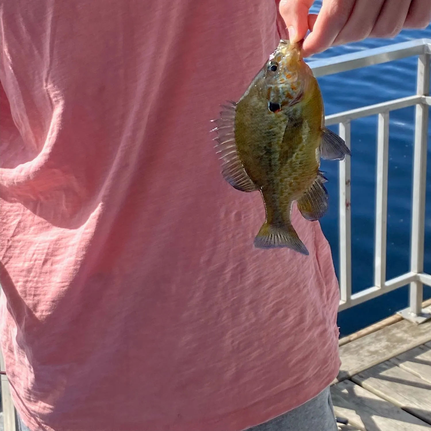 angler catch