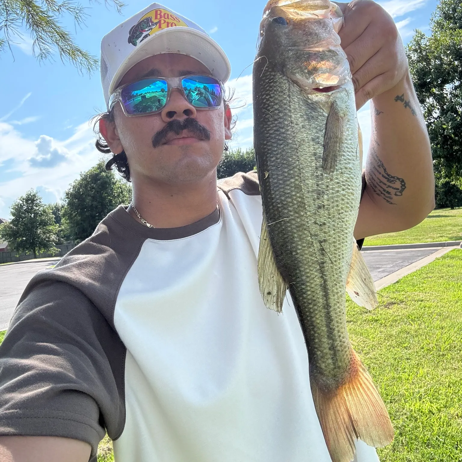 Largemouth bass caught on Fishbrain