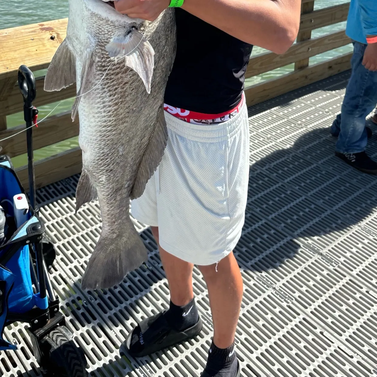 Black drum caught on Fishbrain