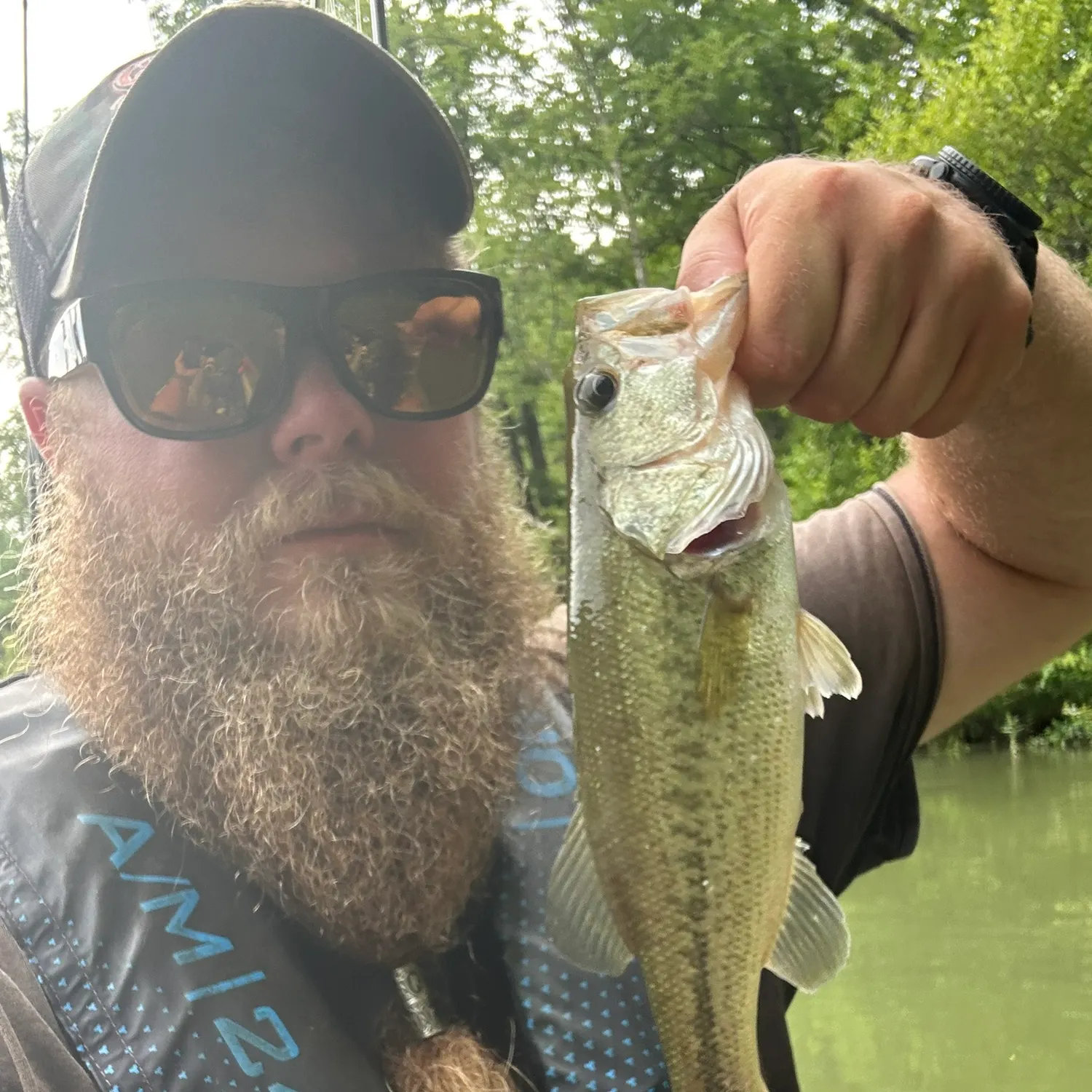 Largemouth bass caught on Fishbrain