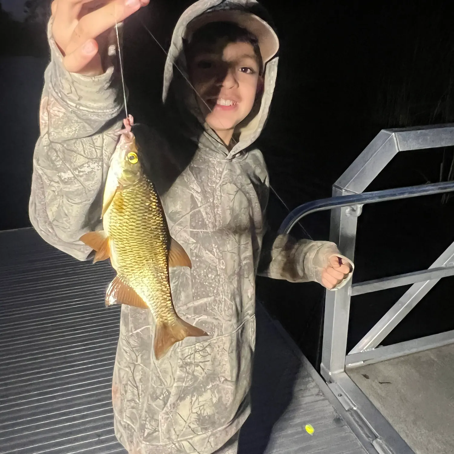 The most recent Golden shiner catches on Fishbrain