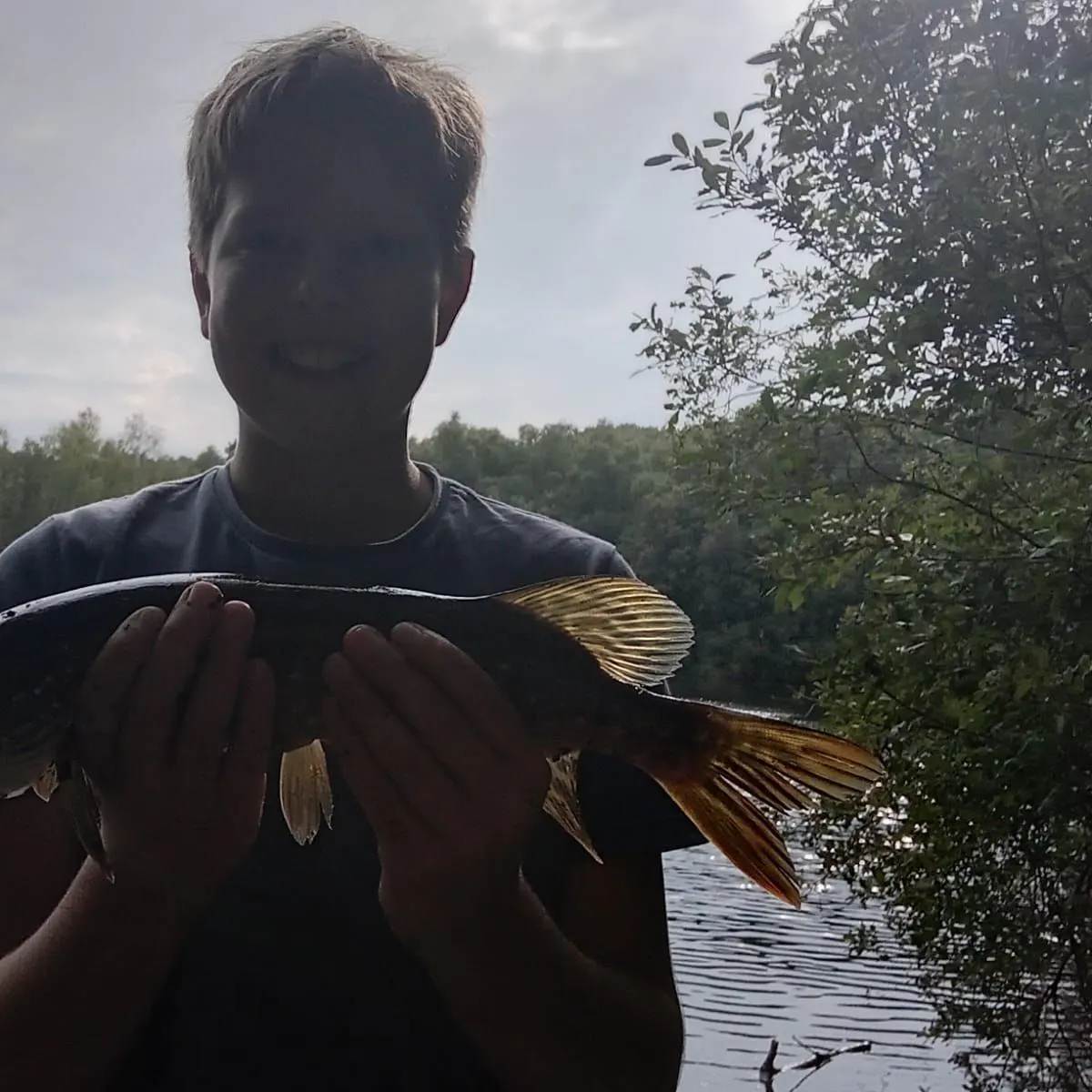 Northern pike caught on Fishbrain