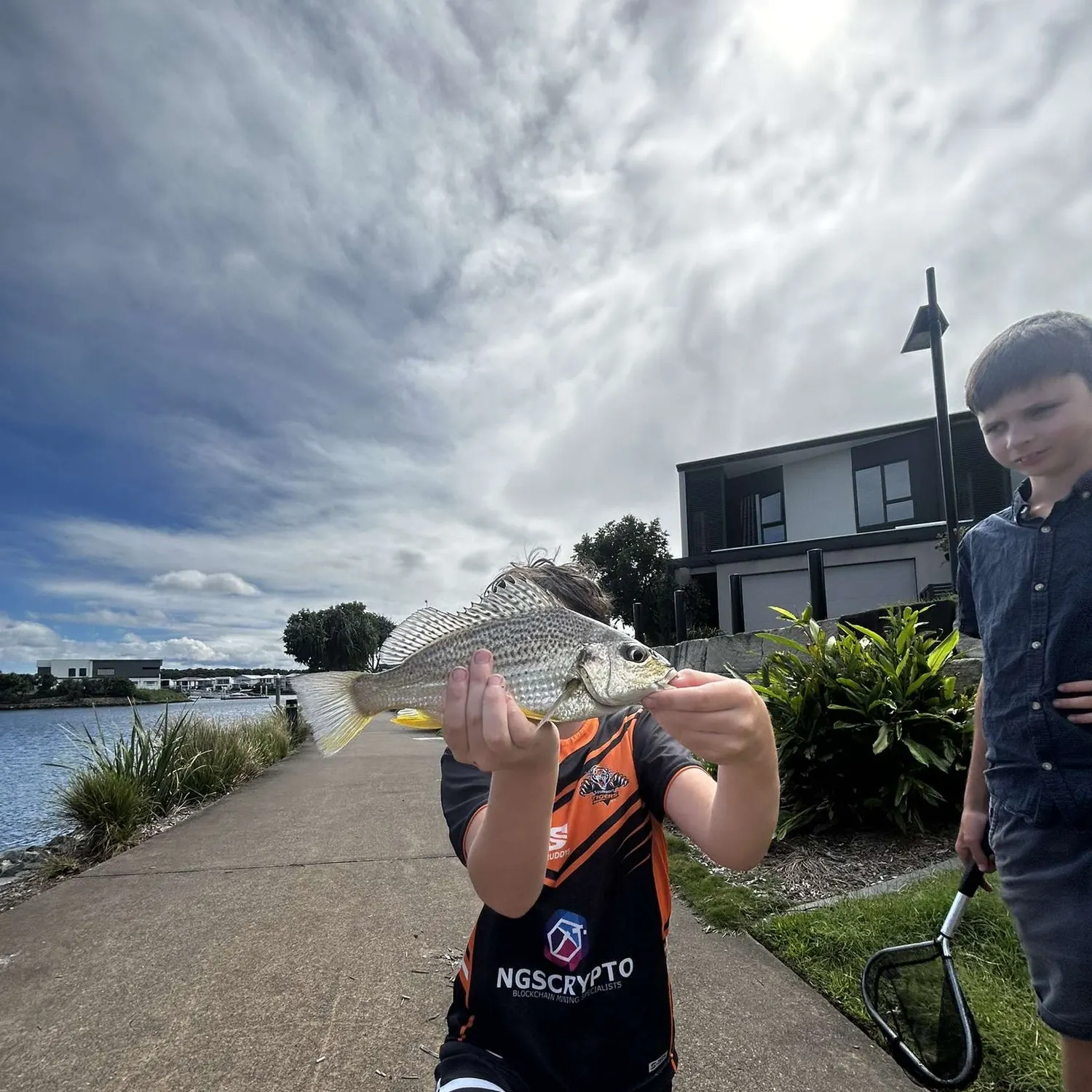 The most popular recent Smallspotted grunter catch on Fishbrain
