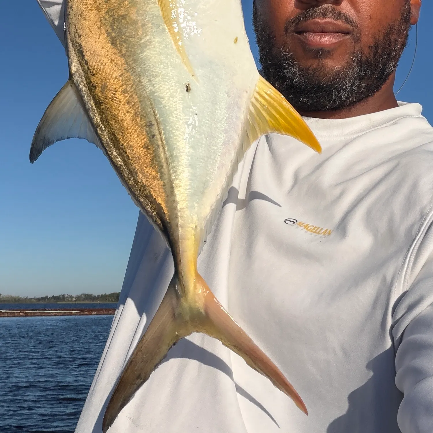 Crevalle jack caught on Fishbrain