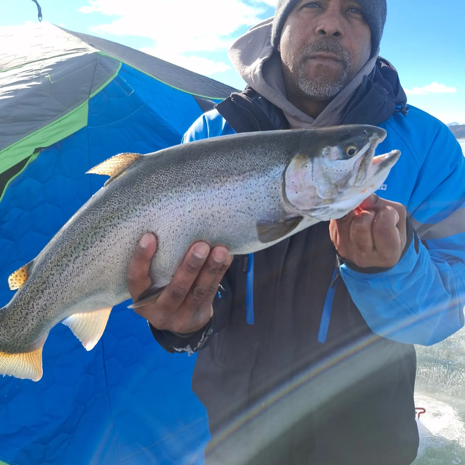 The most recent Cutbow catches on Fishbrain
