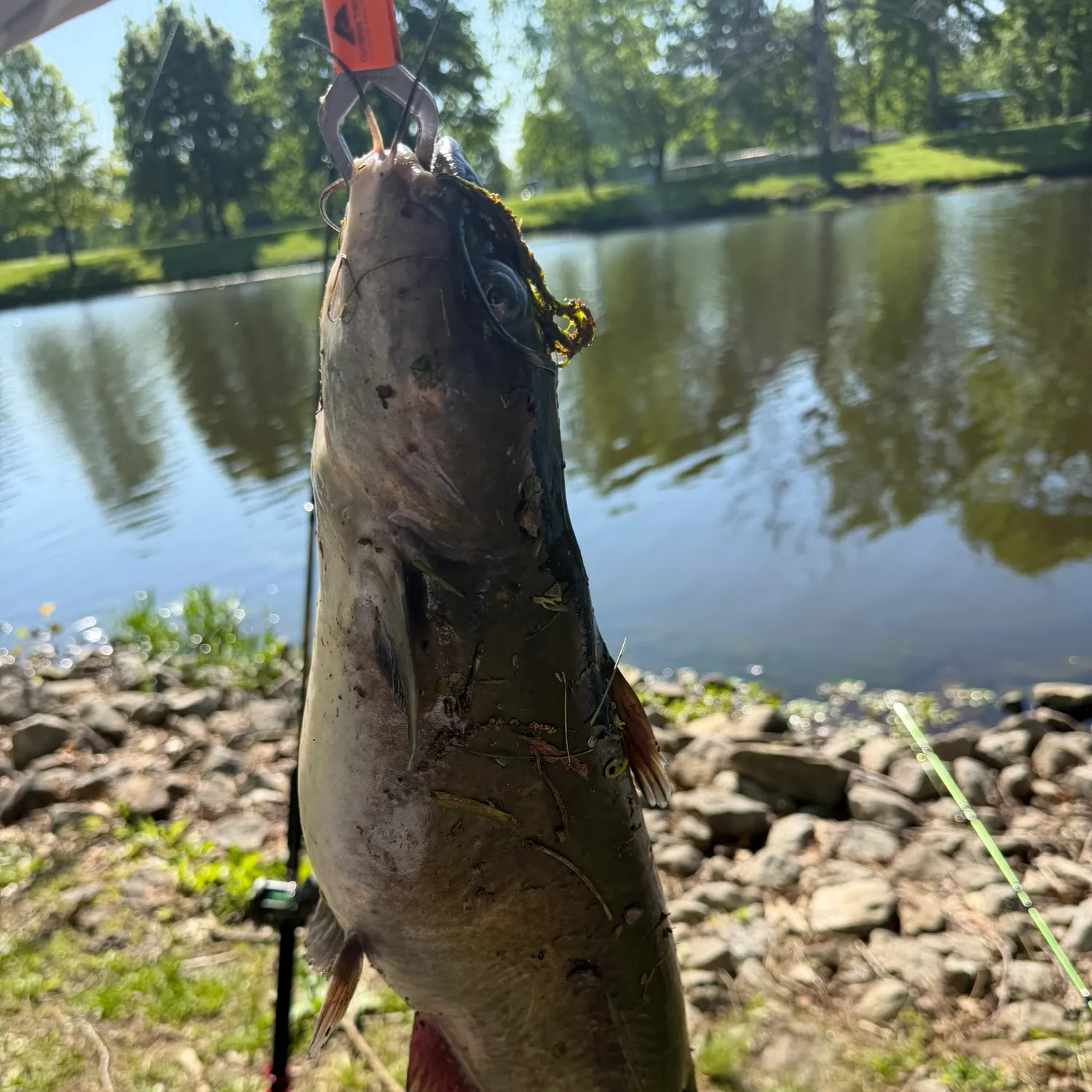 catch