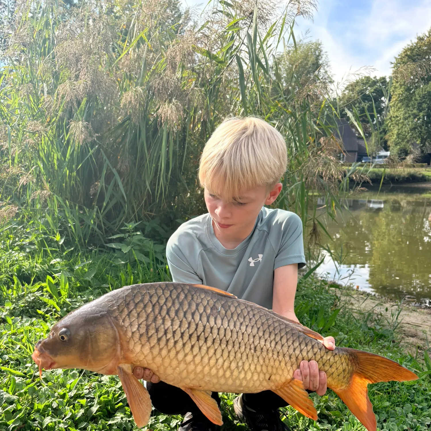 Common carp caught on Fishbrain