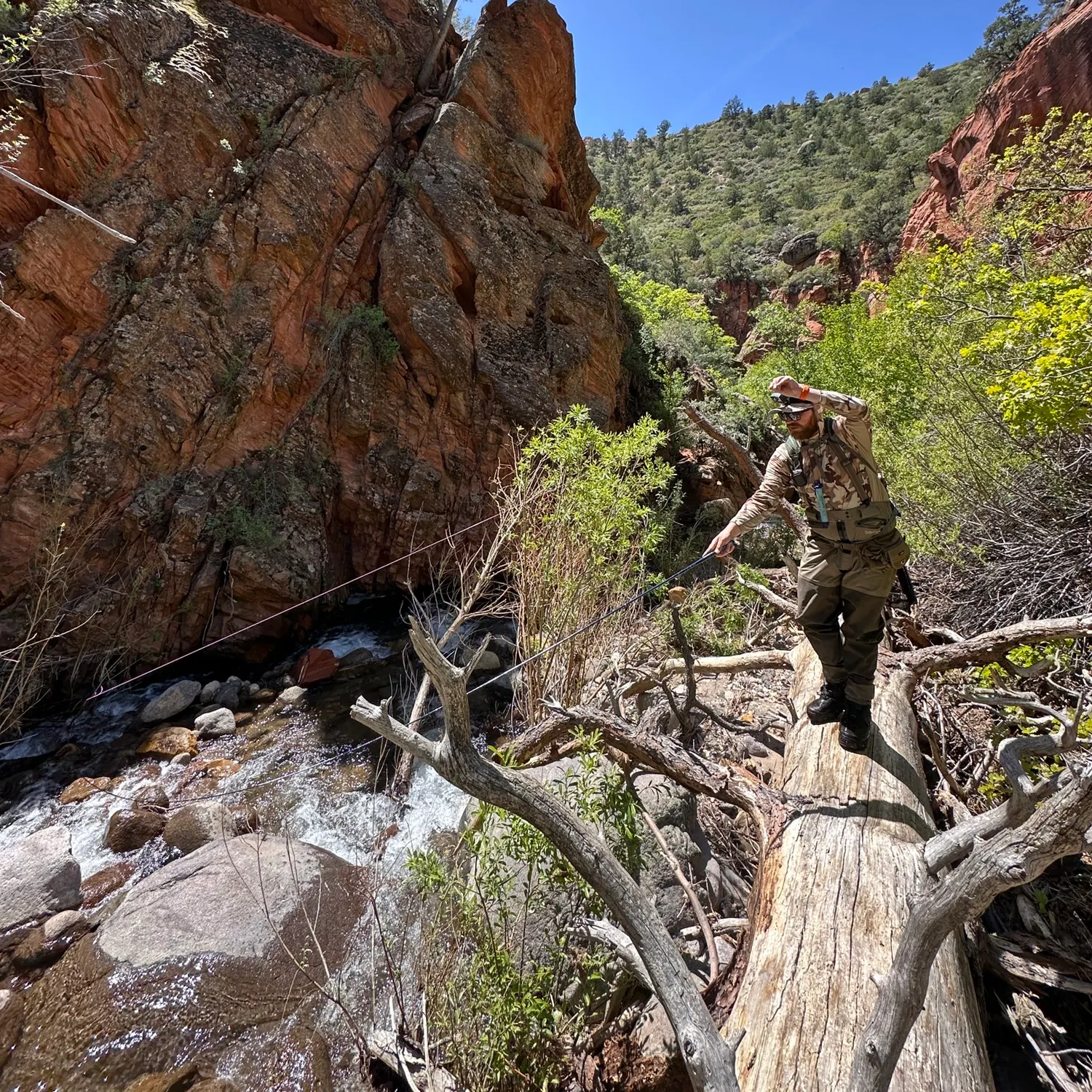 The most recent Bonneville cutthroat trout catches on Fishbrain