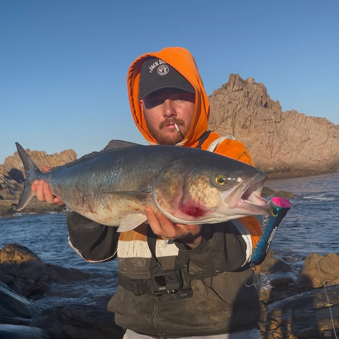 The most recent Western Australian salmon catches on Fishbrain