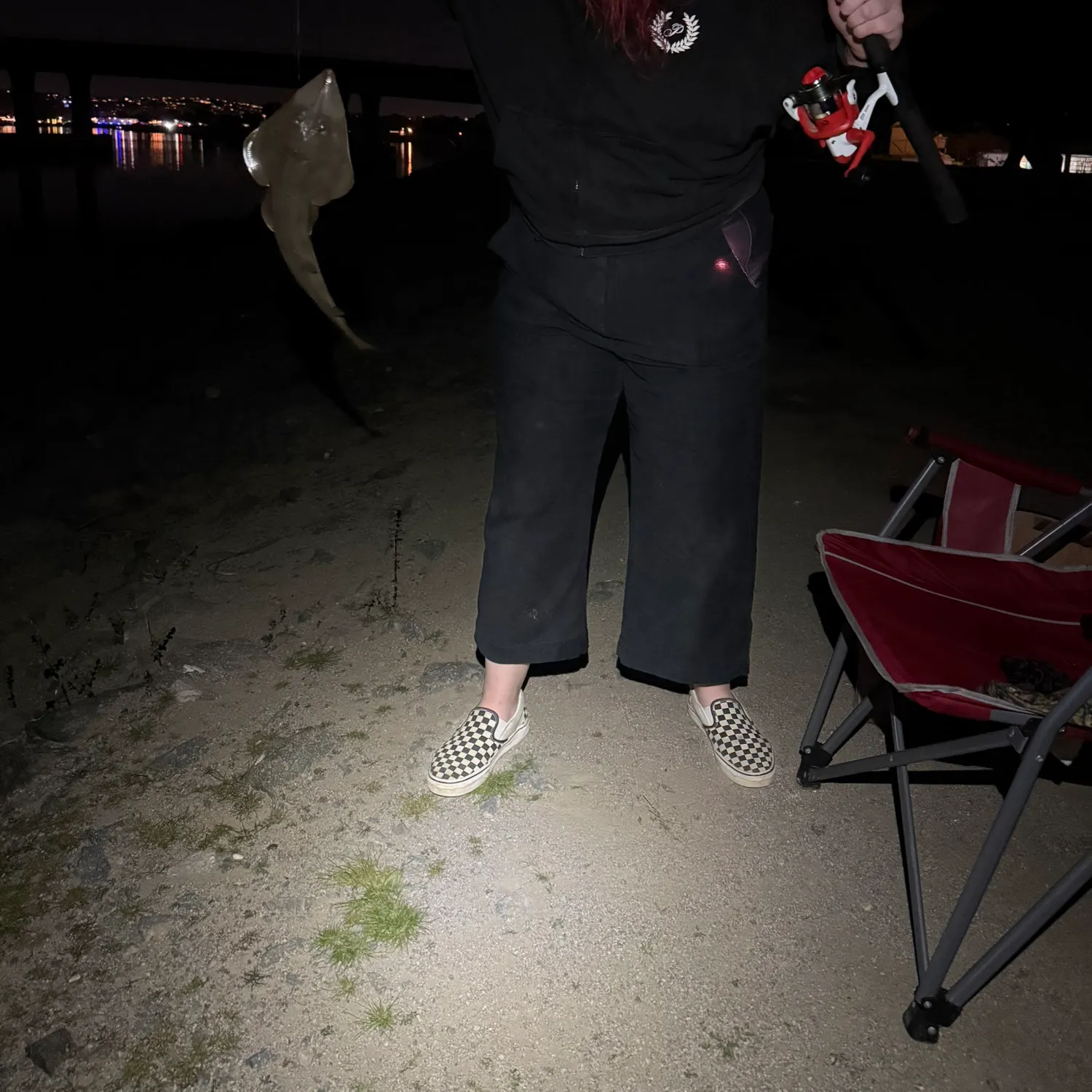 The most recent Pacific shovelnose guitarfish catches on Fishbrain