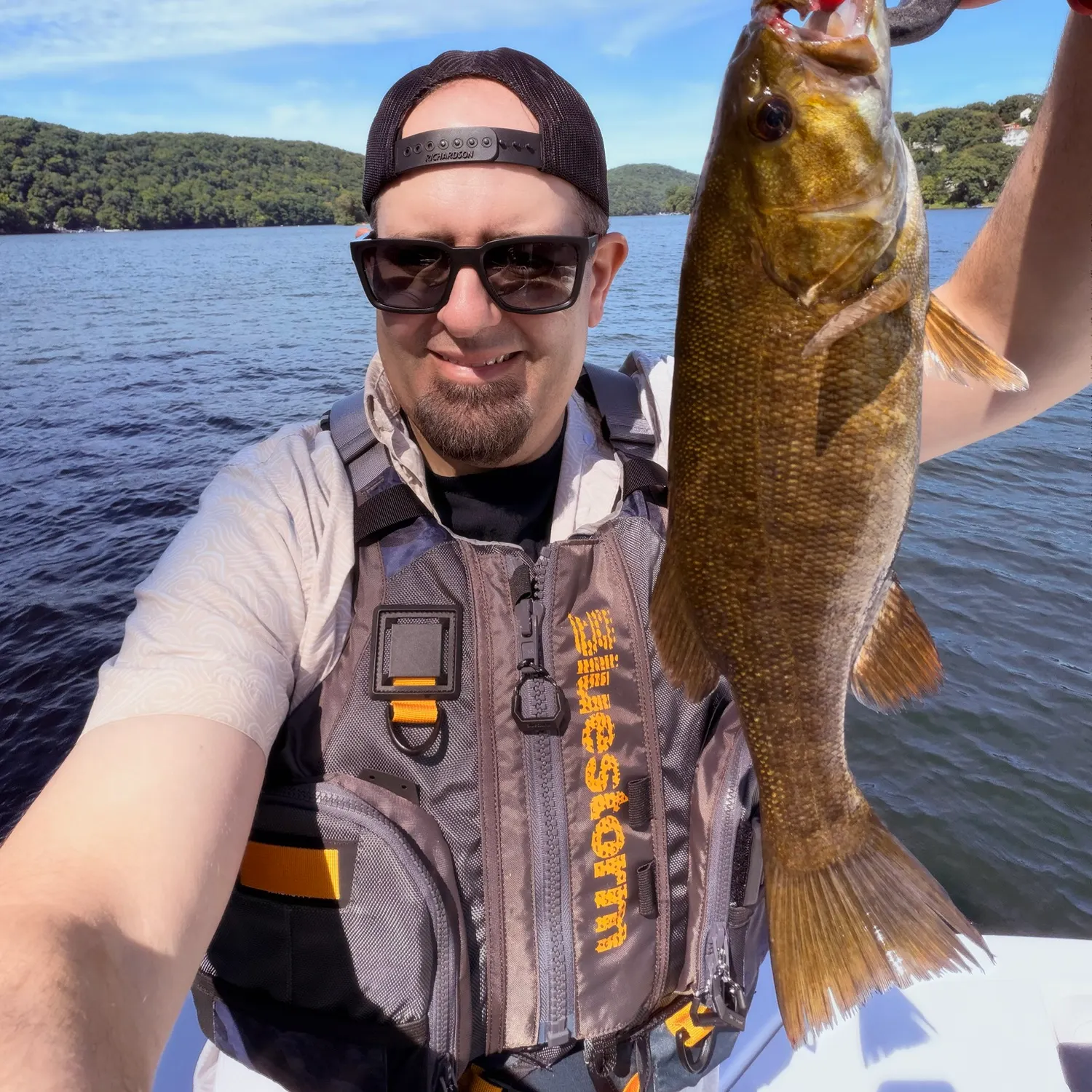 Smallmouth bass caught on Fishbrain