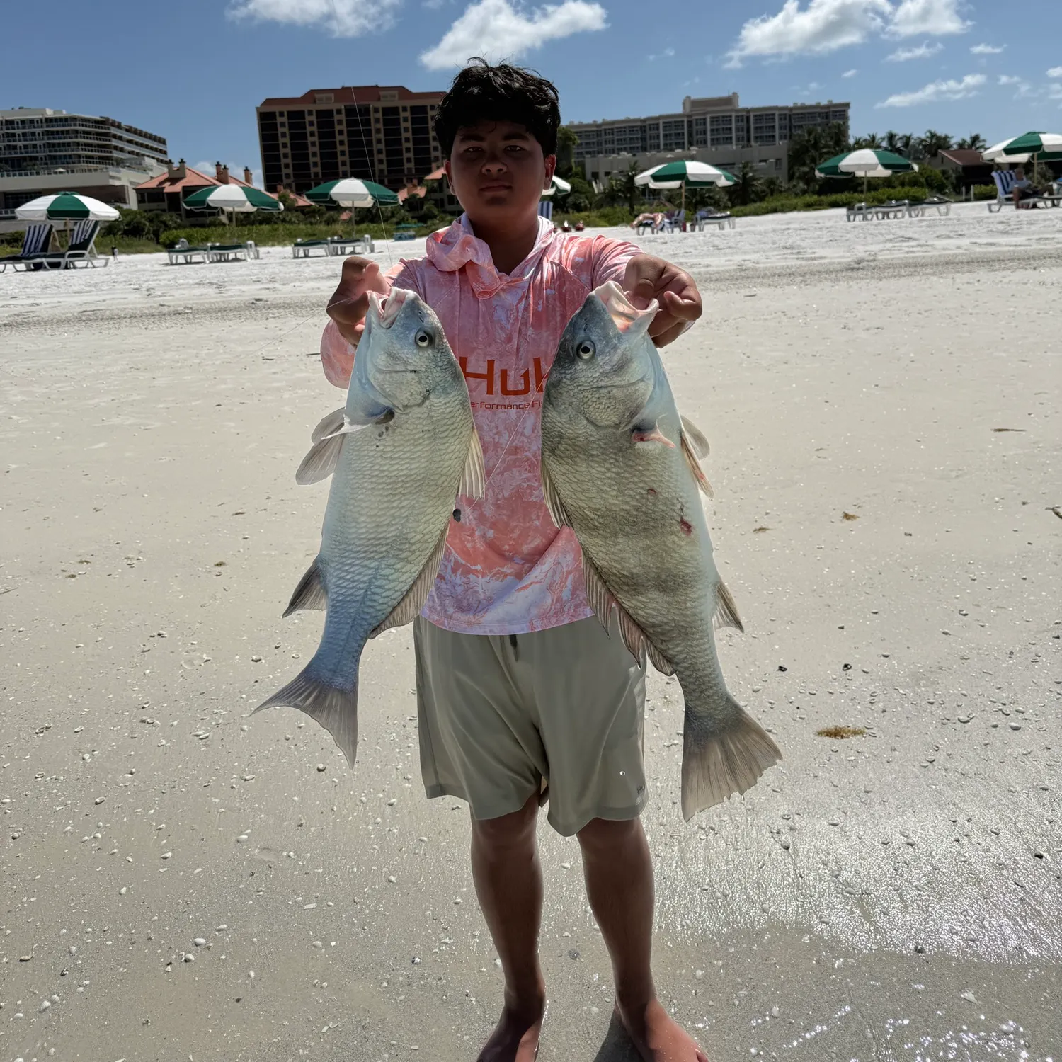 recently logged catches
