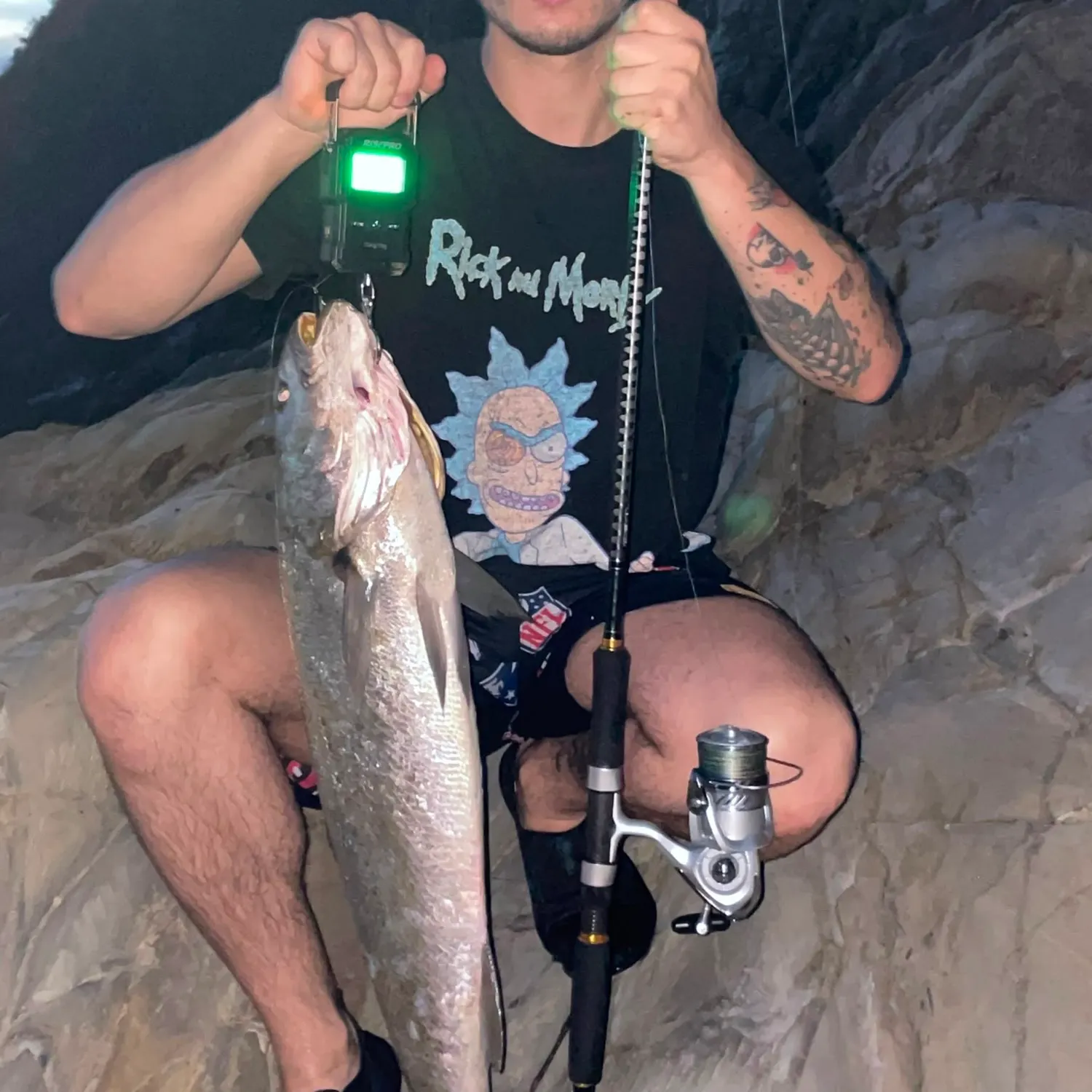 The most recent Meagre catches on Fishbrain