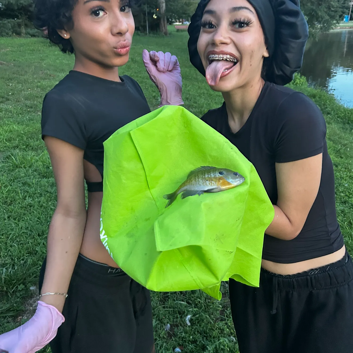 Bluegill caught on Fishbrain