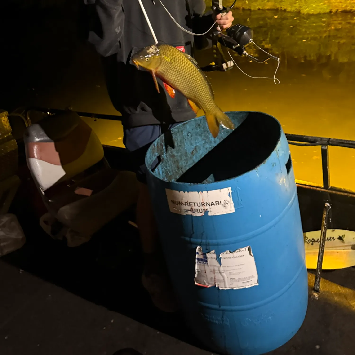 Common carp caught on Fishbrain