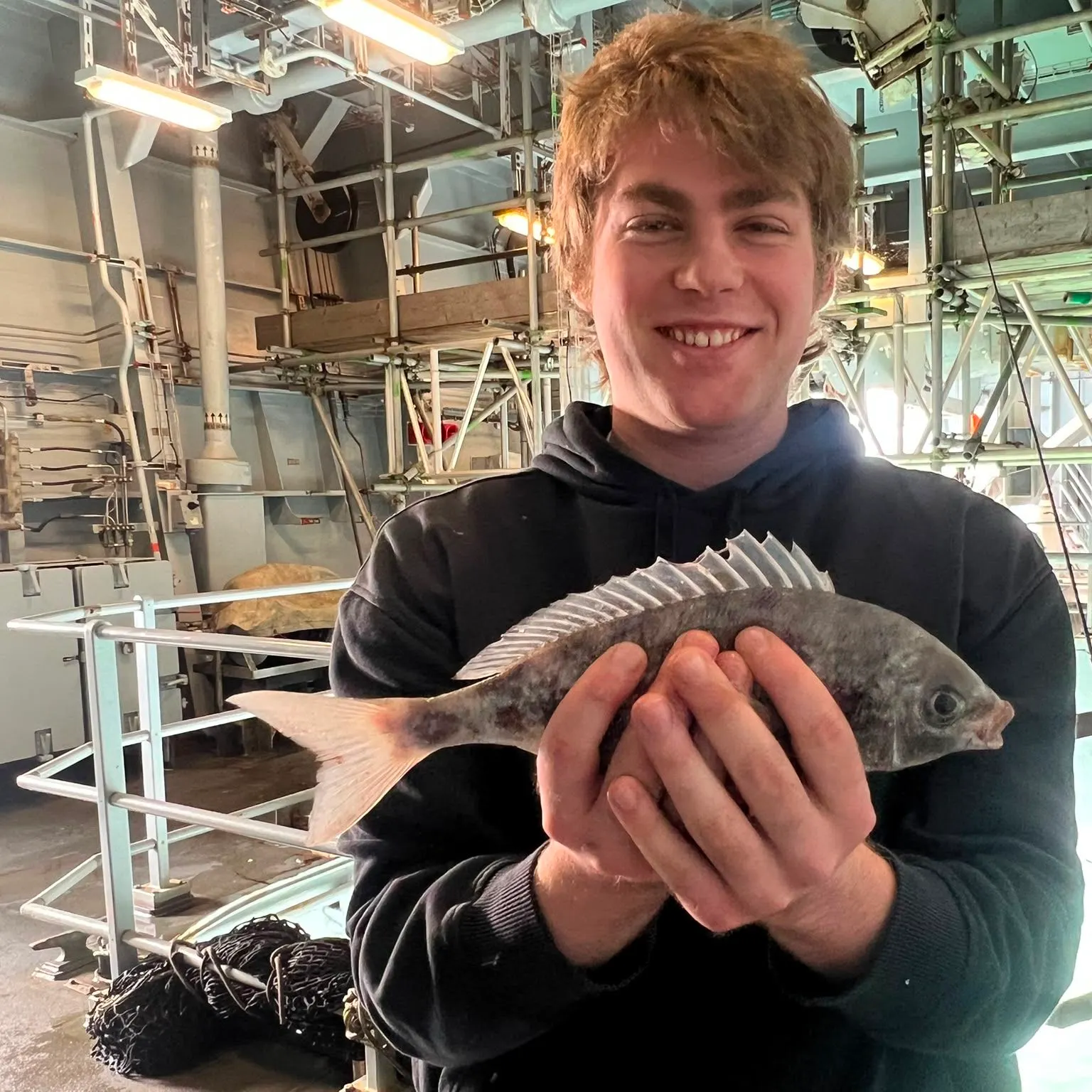 The most recent White seabream catches on Fishbrain