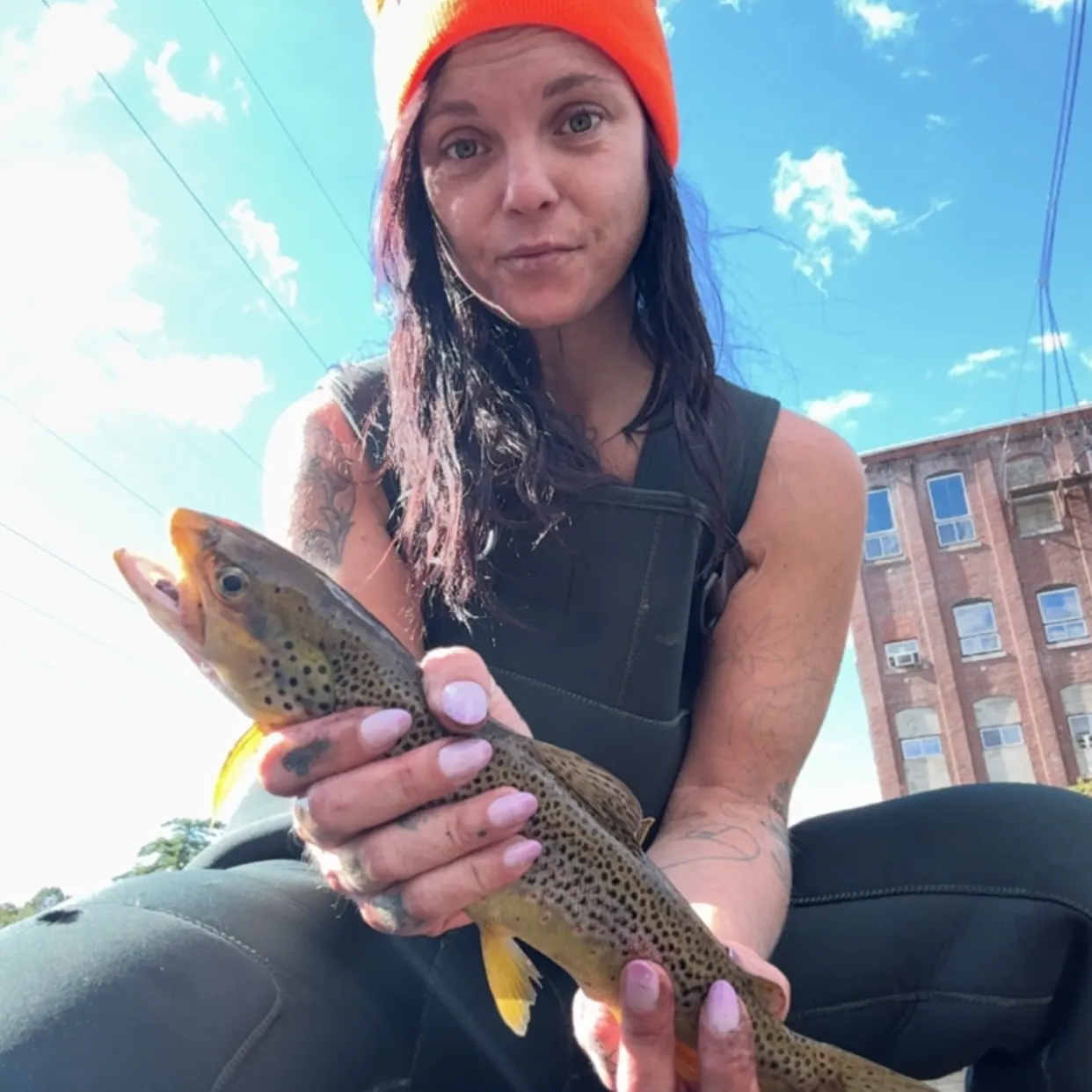 Brown trout caught on Fishbrain