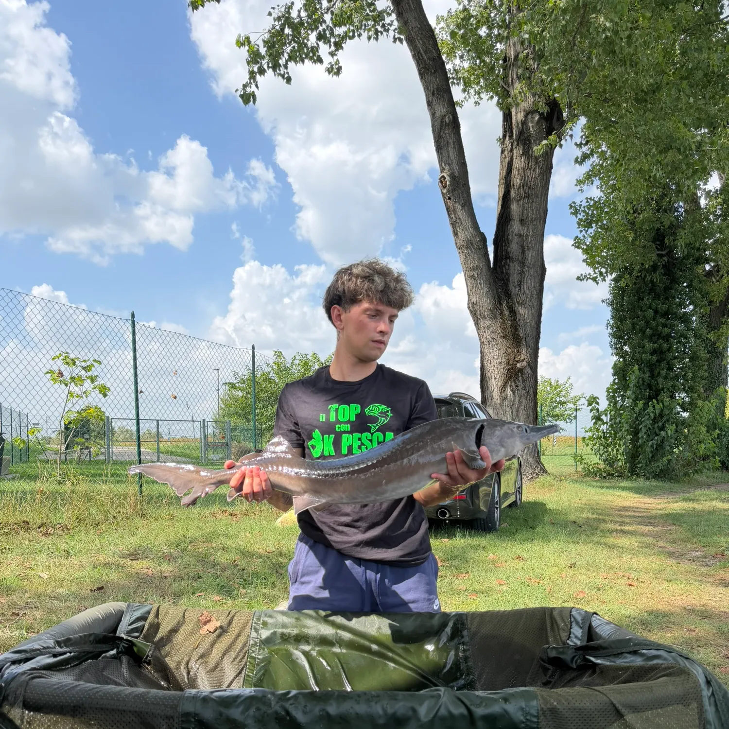 The most recent White sturgeon catches on Fishbrain