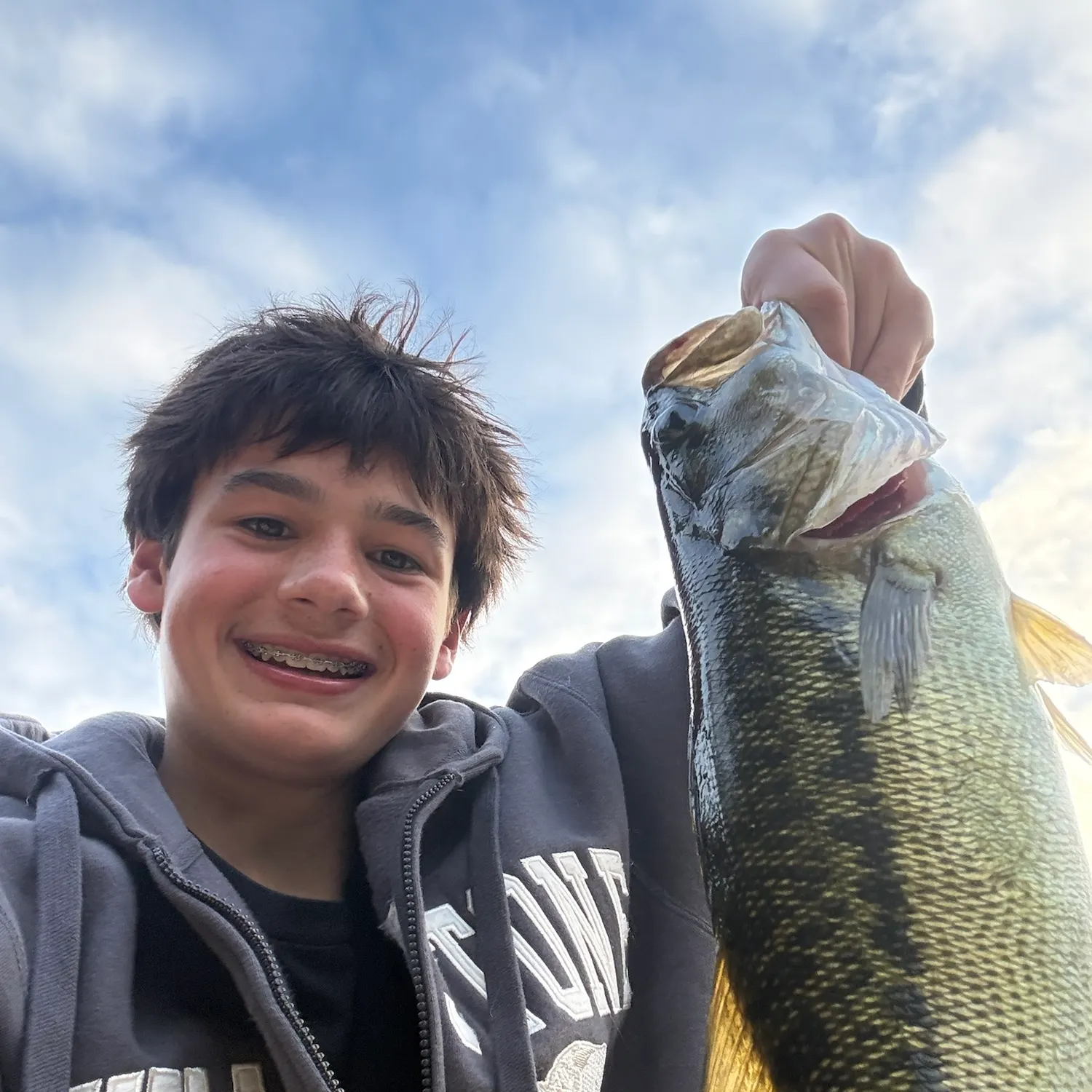 Spotted bass caught on Fishbrain
