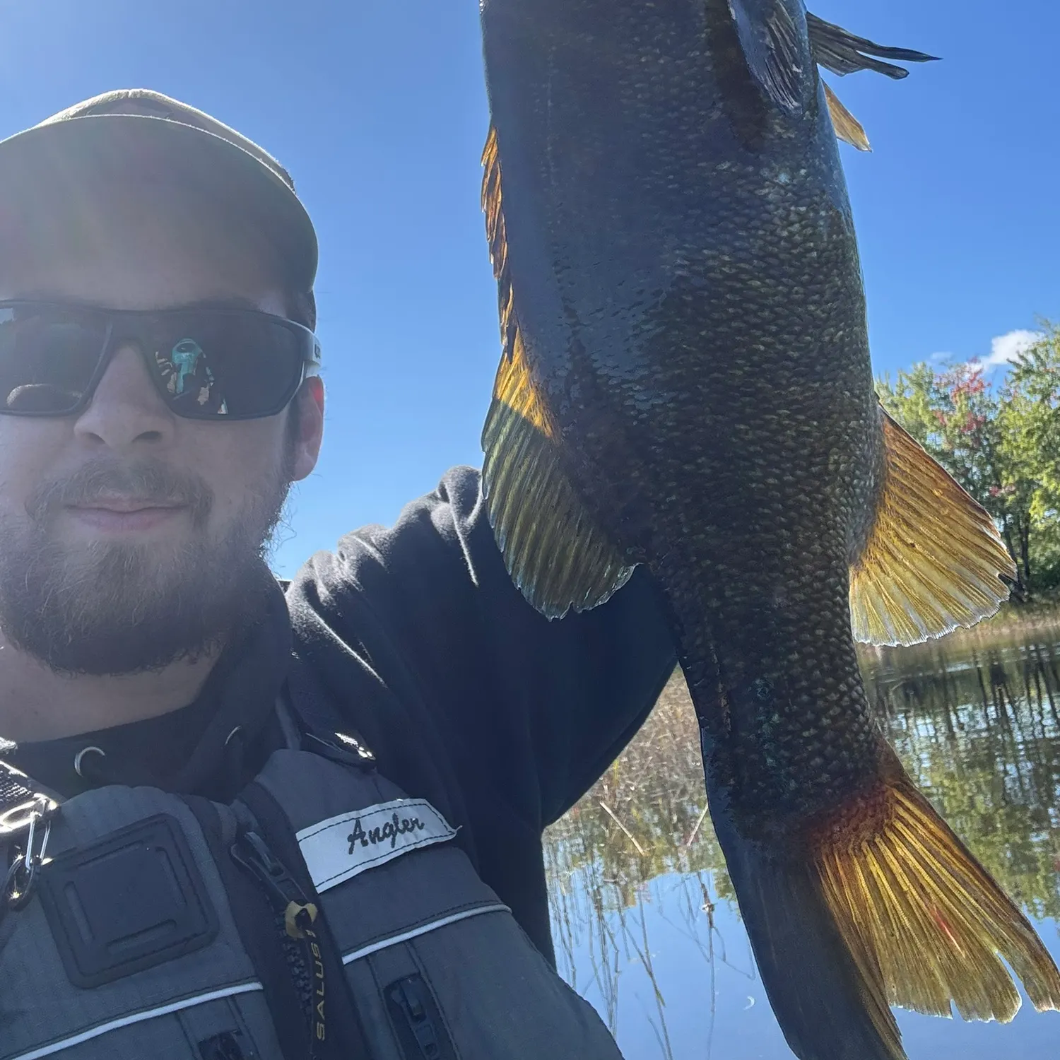 Smallmouth bass caught on Fishbrain