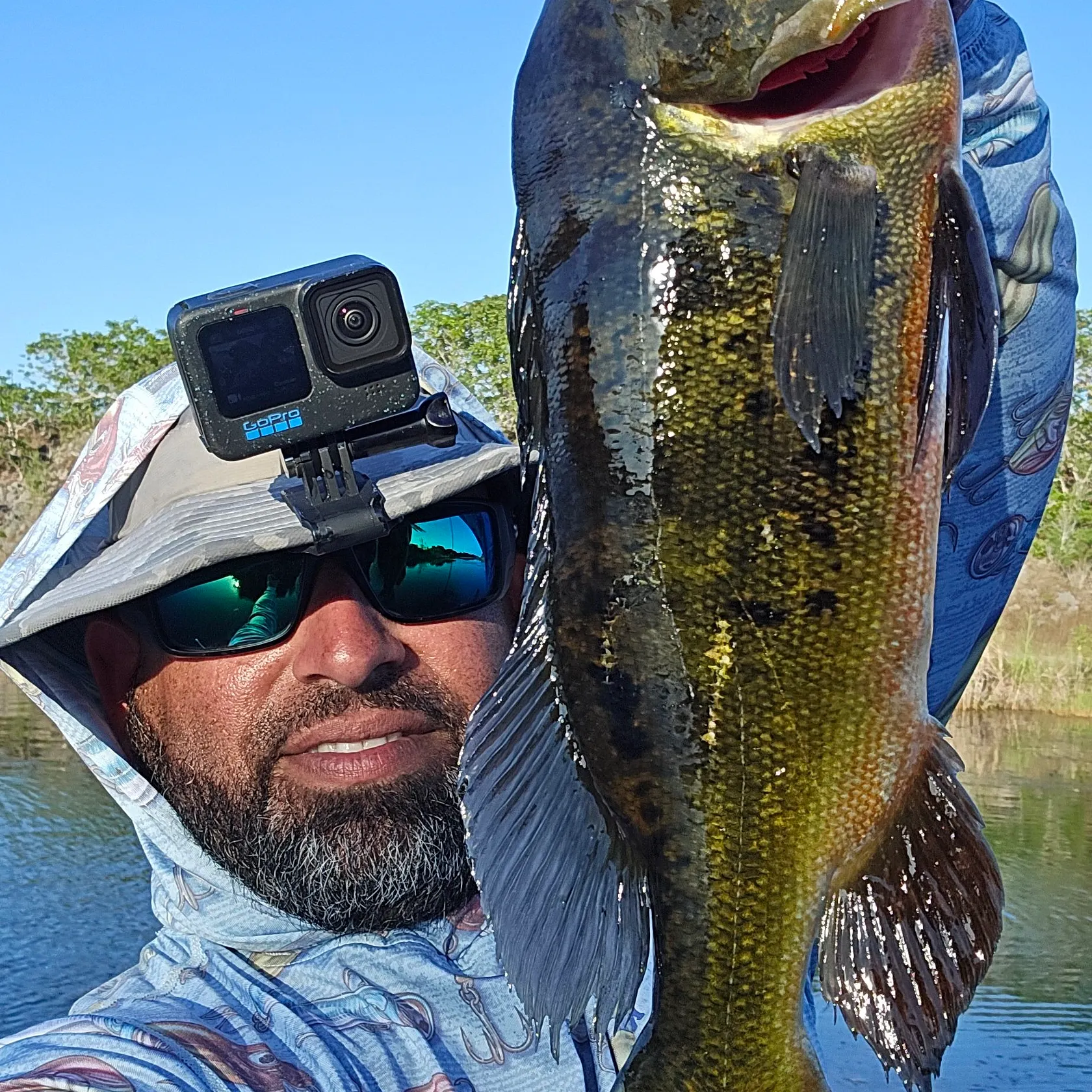 The most recent Butterfly peacock bass catches on Fishbrain
