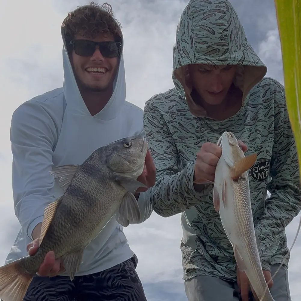 Red drum caught on Fishbrain