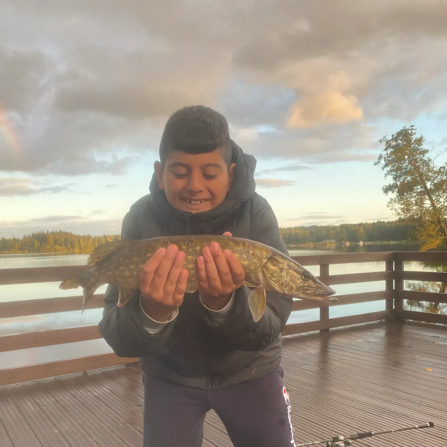 Northern pike caught on Fishbrain