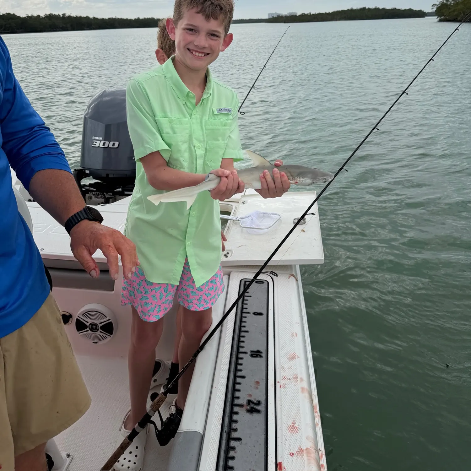 Atlantic sharpnose shark caught on Fishbrain
