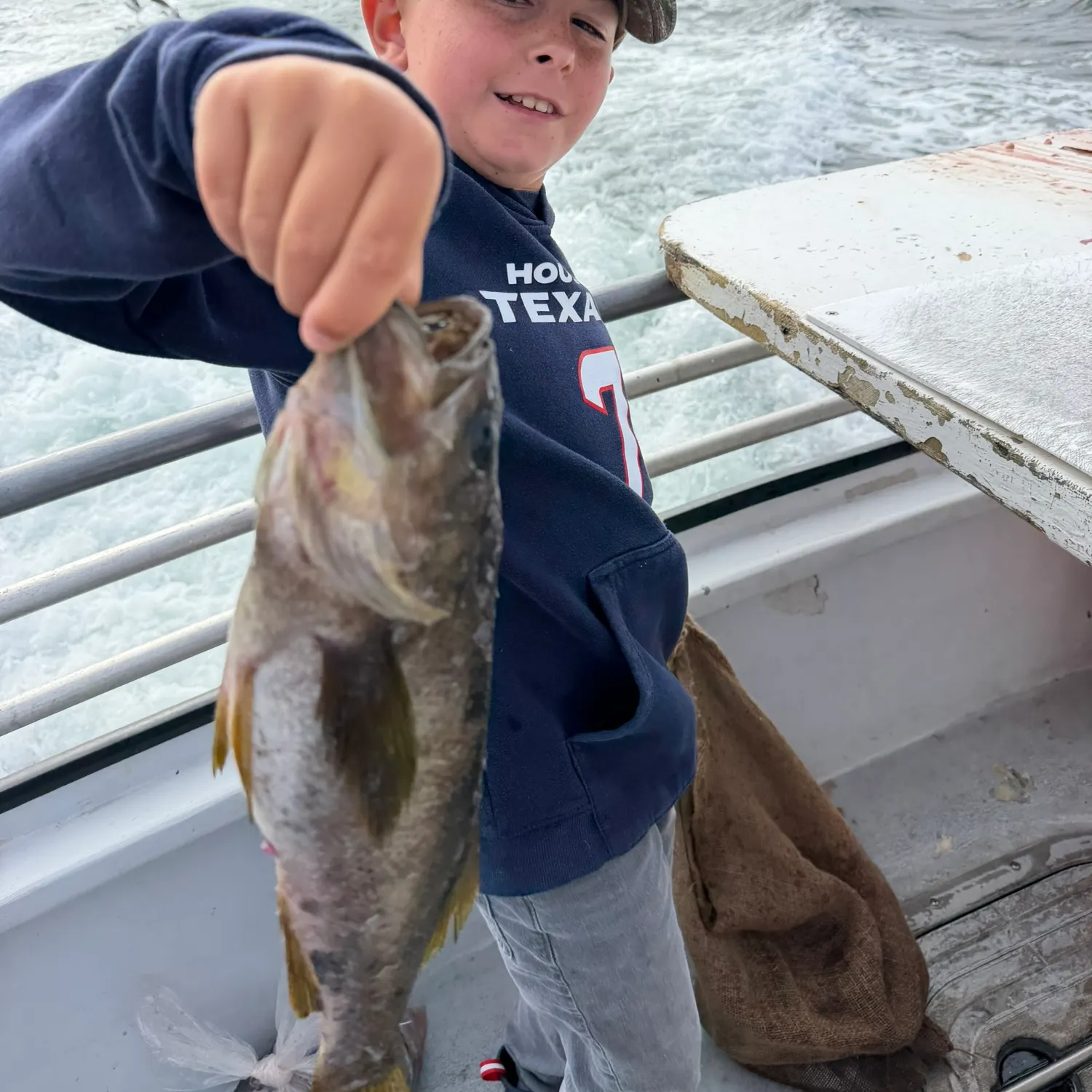 The most recent Olive rockfish catches on Fishbrain