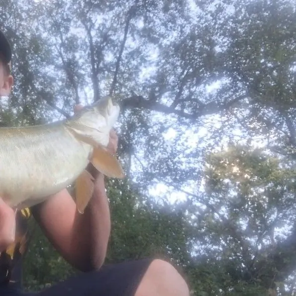 Muskie caught on Fishbrain