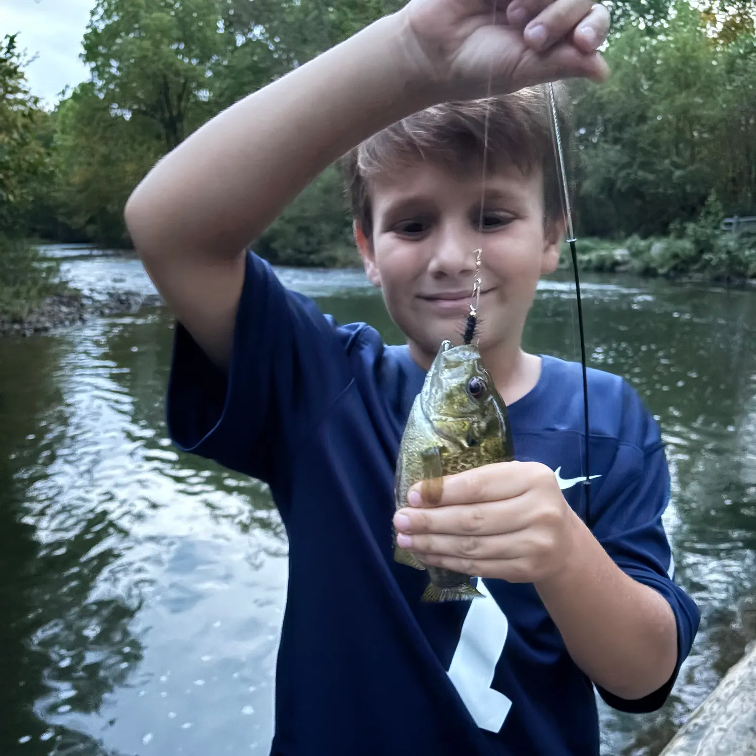 Rock bass caught on Fishbrain