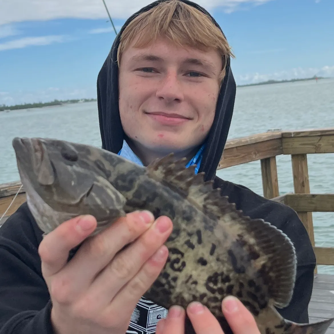 The most recent Gag grouper catches on Fishbrain