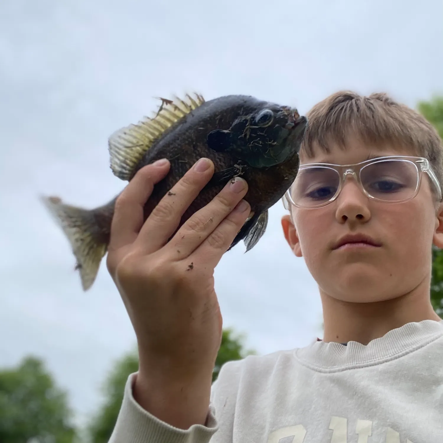 Fish caught on Fishbrain