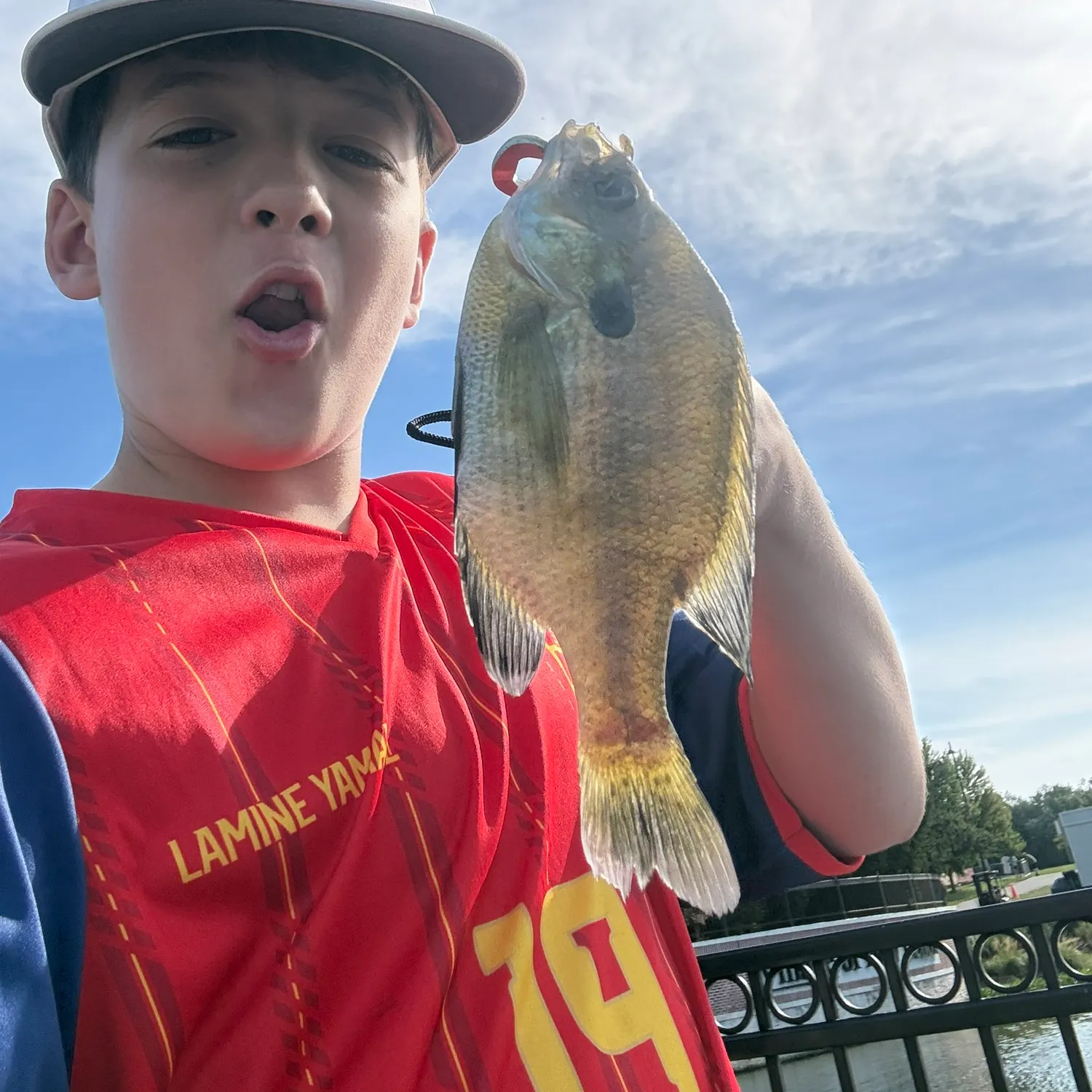 Bluegill caught on Fishbrain