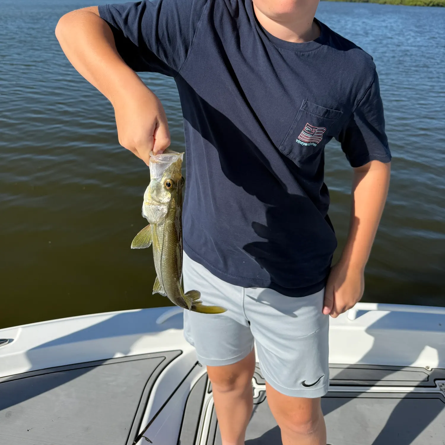 Common snook caught on Fishbrain