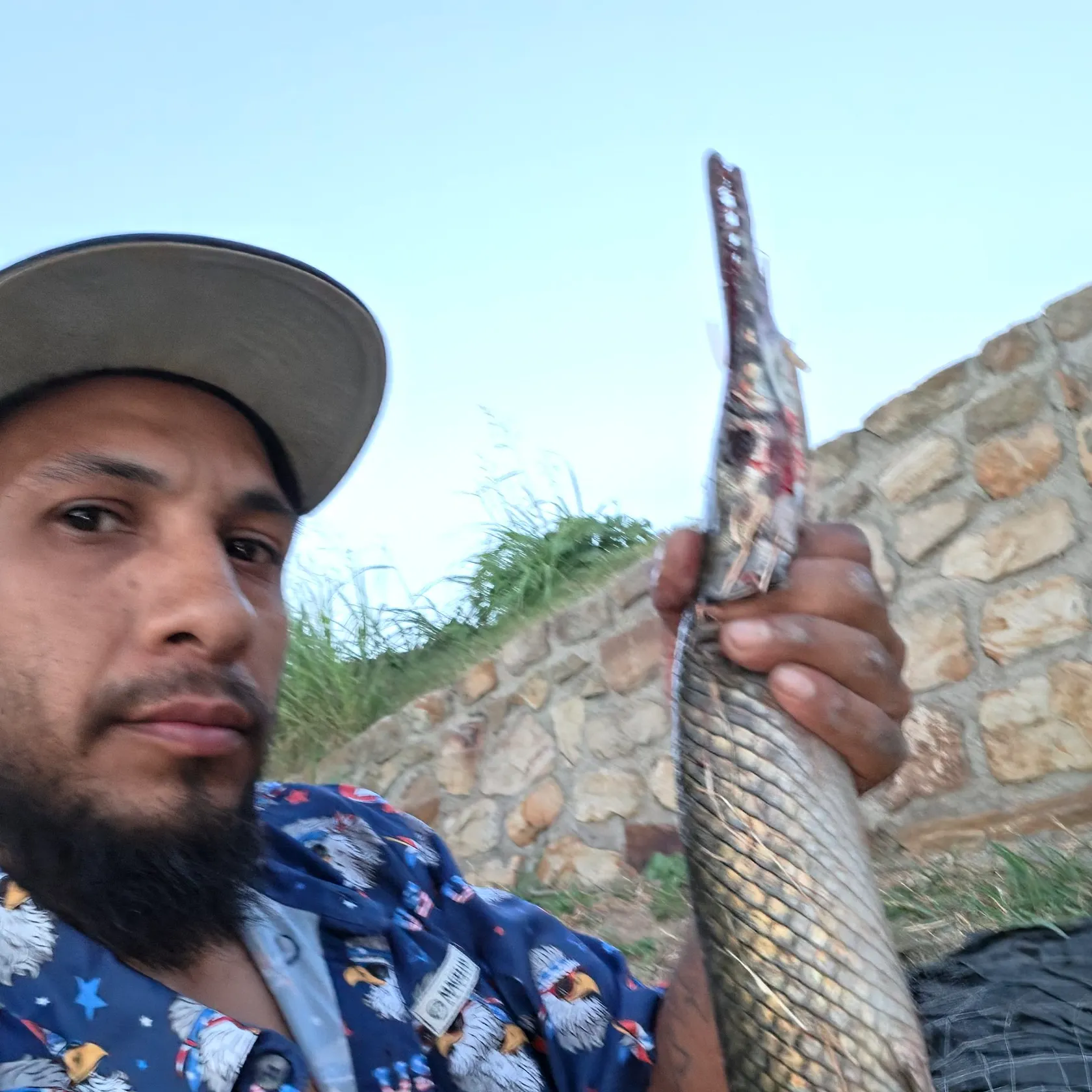 Spotted gar caught on Fishbrain