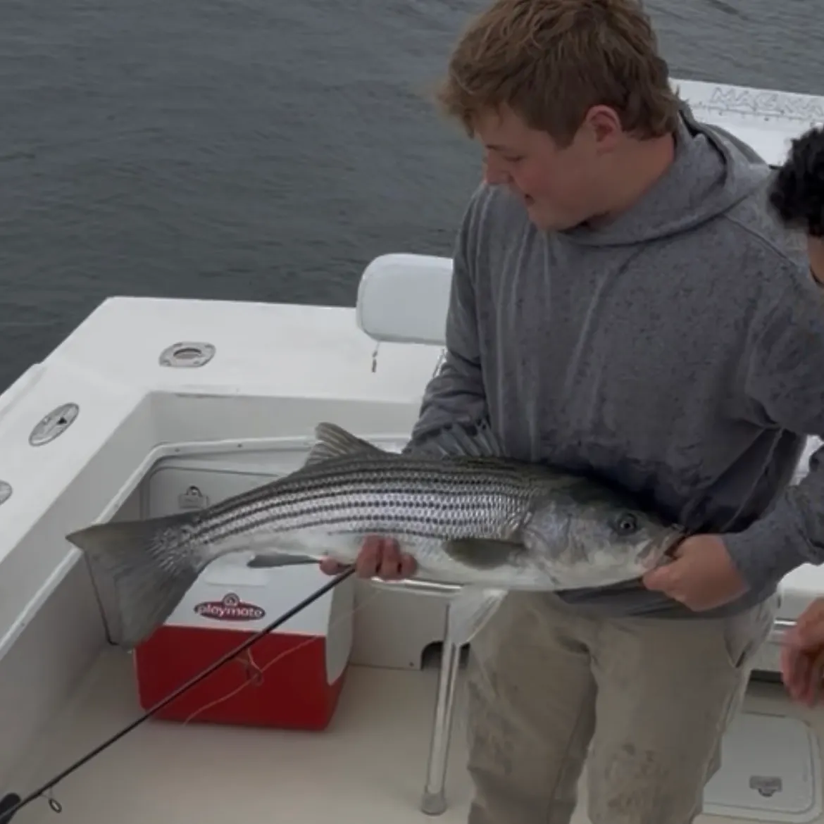 The most recent Striped bass catches on Fishbrain
