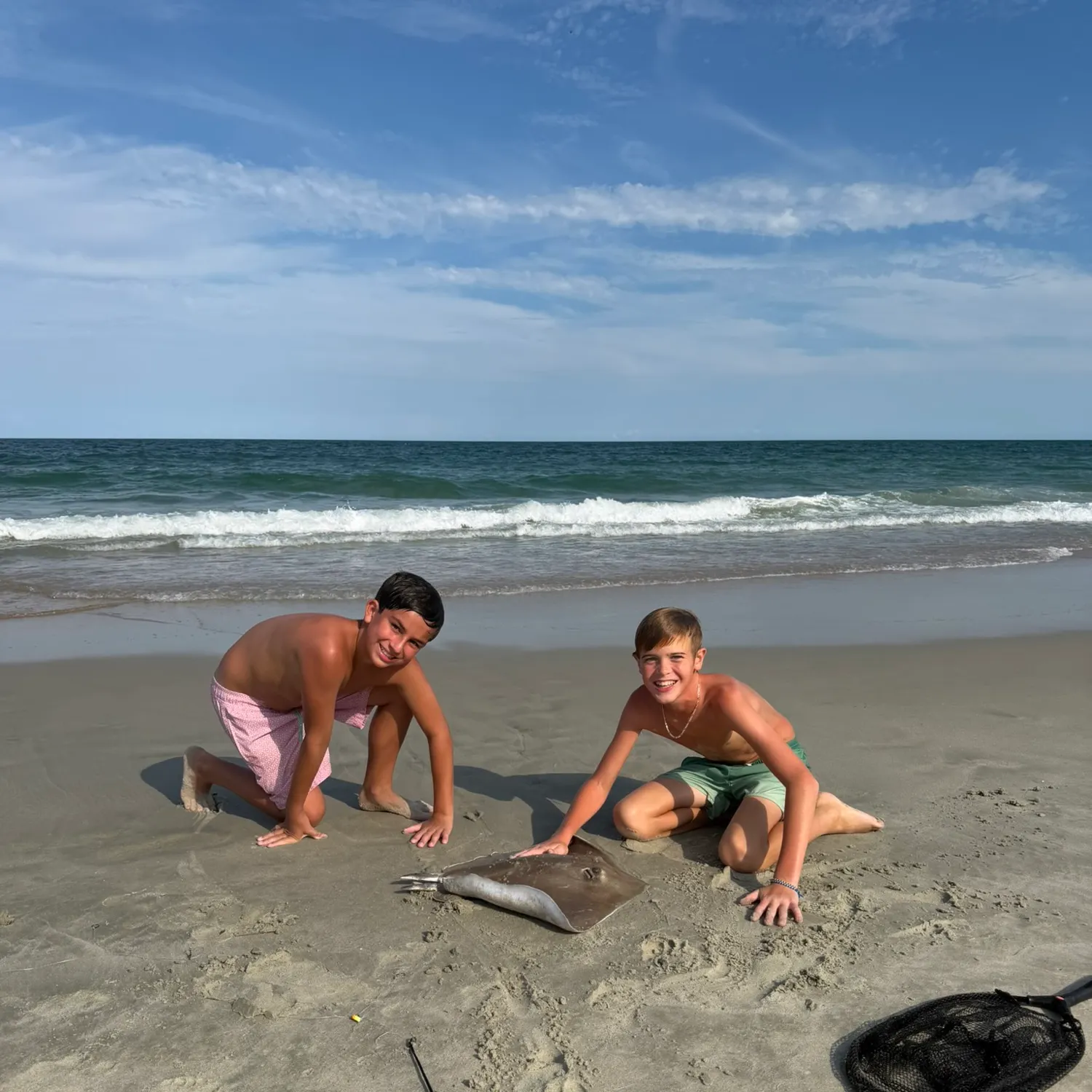 The most recent Short-tail stingray catches on Fishbrain