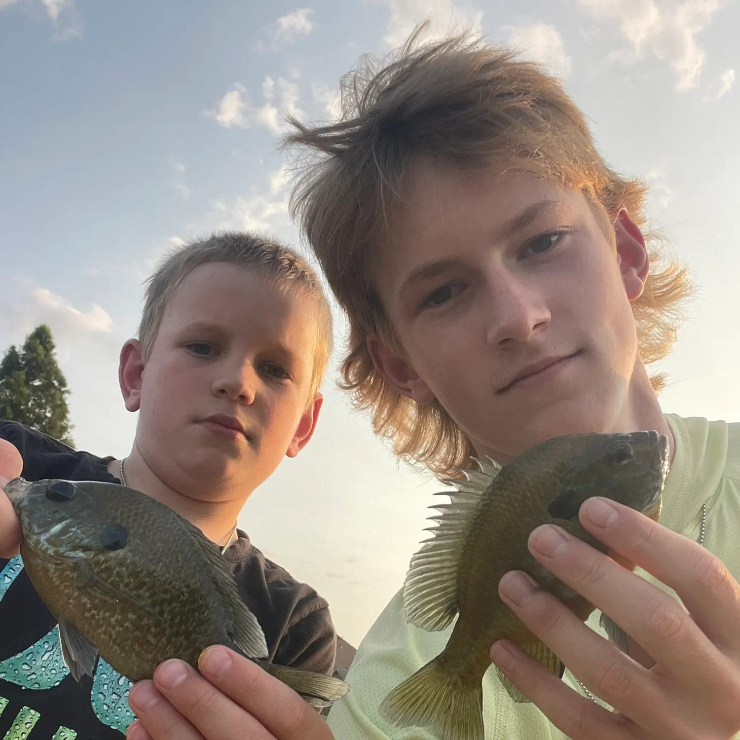 The most recent Longear sunfish catches on Fishbrain