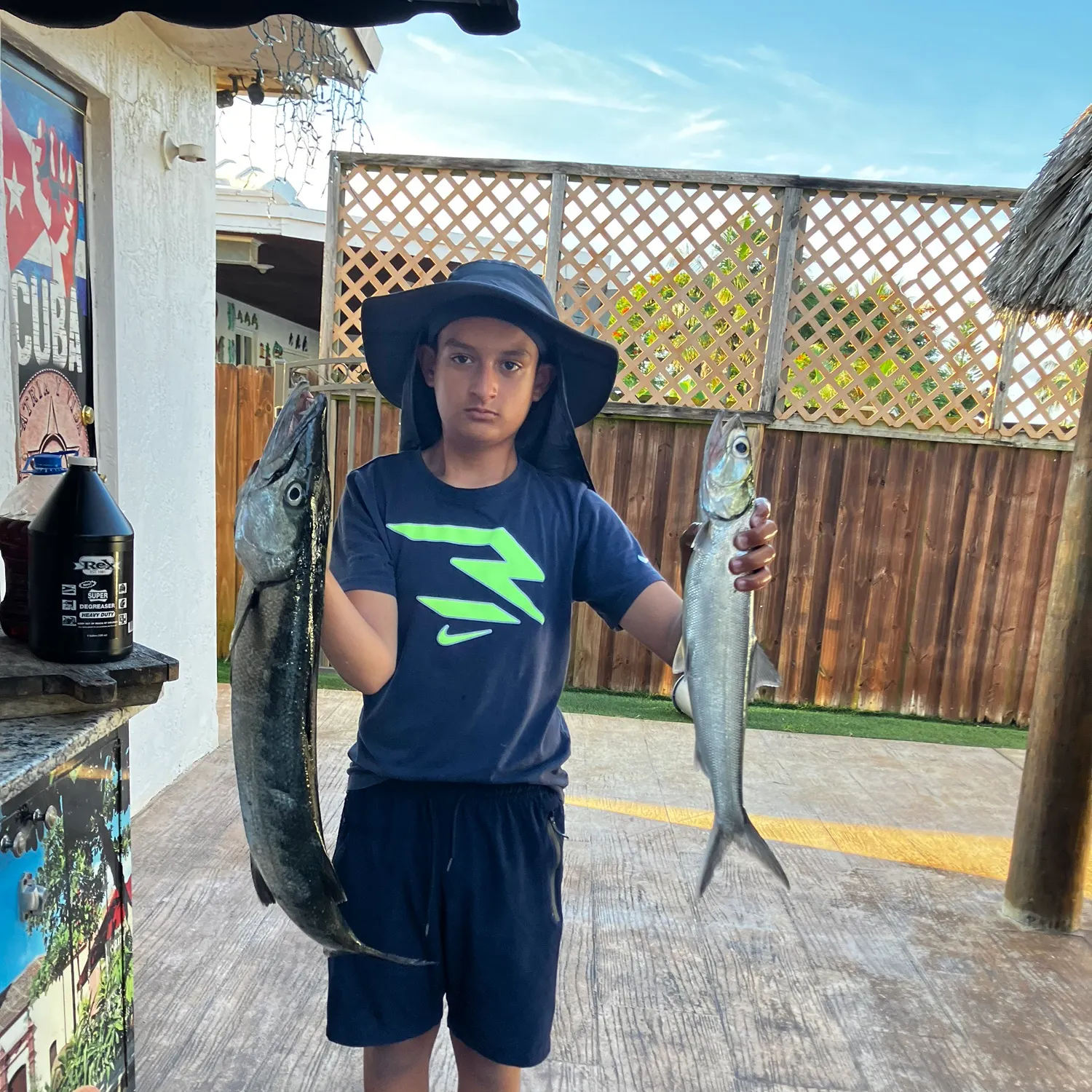 Ladyfish caught on Fishbrain
