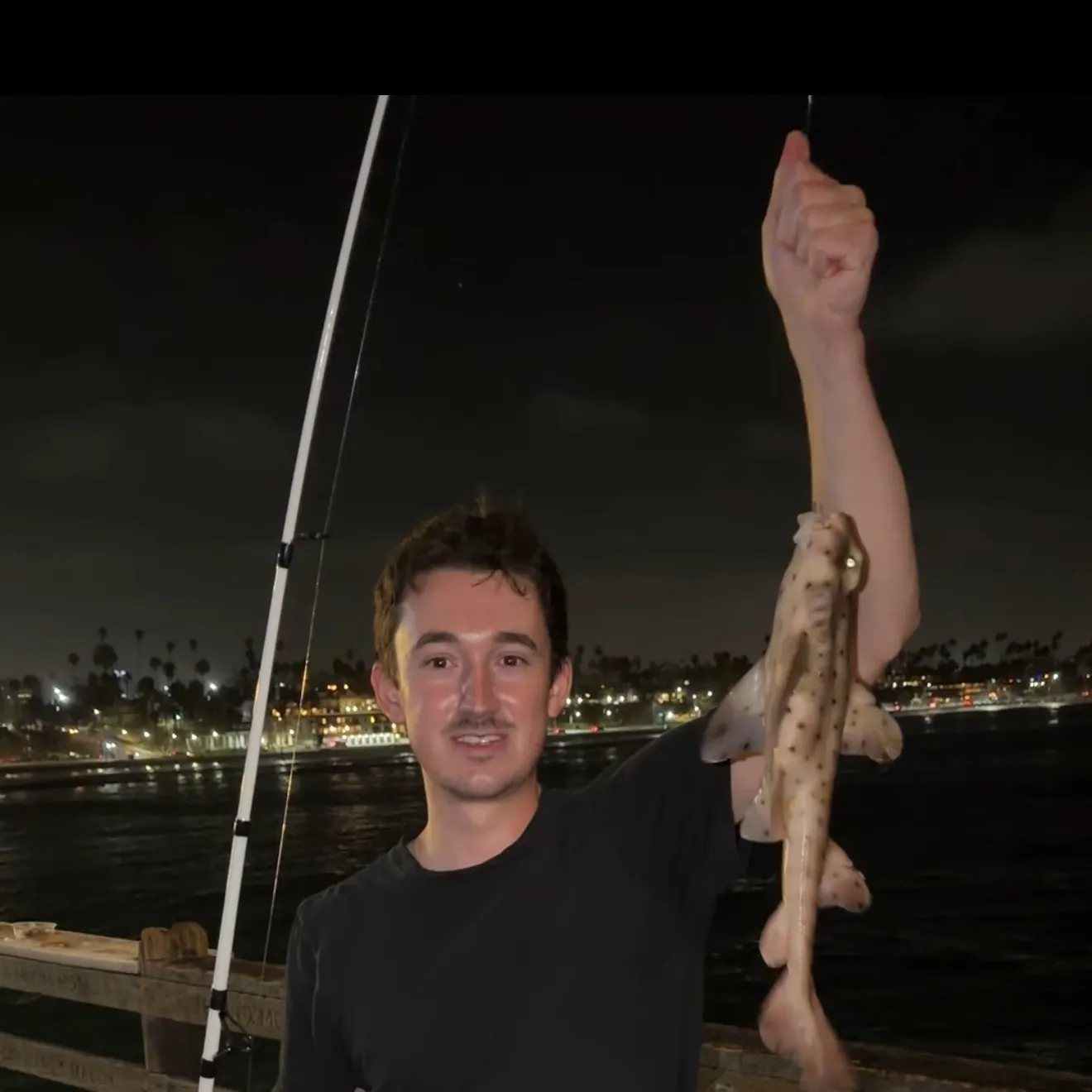 The most recent Horn shark catches on Fishbrain
