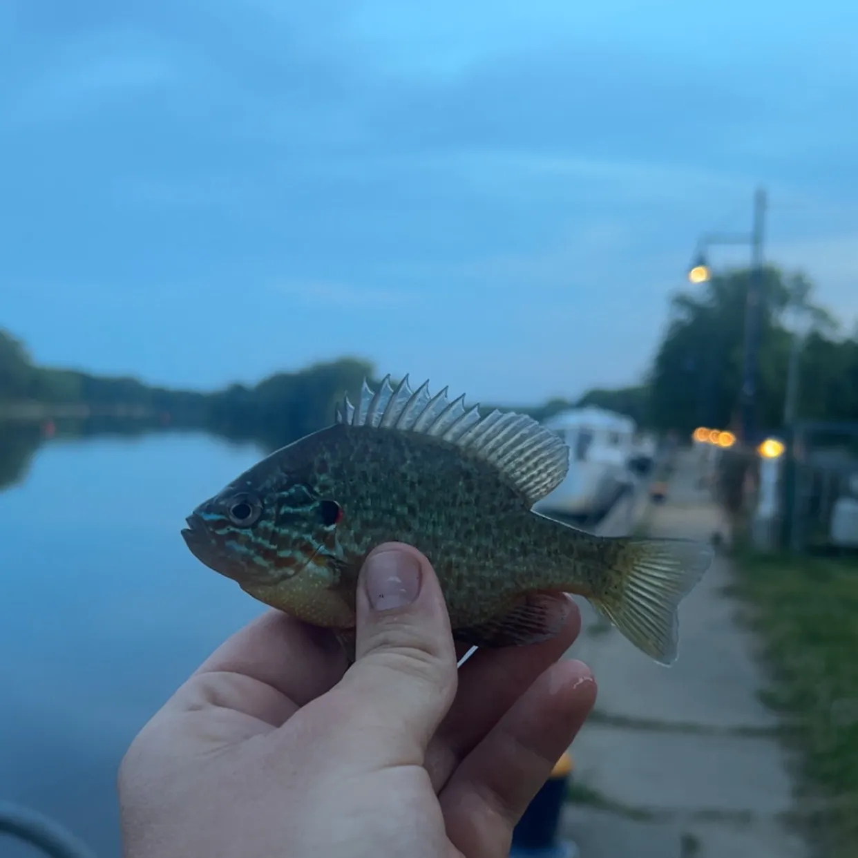 catch