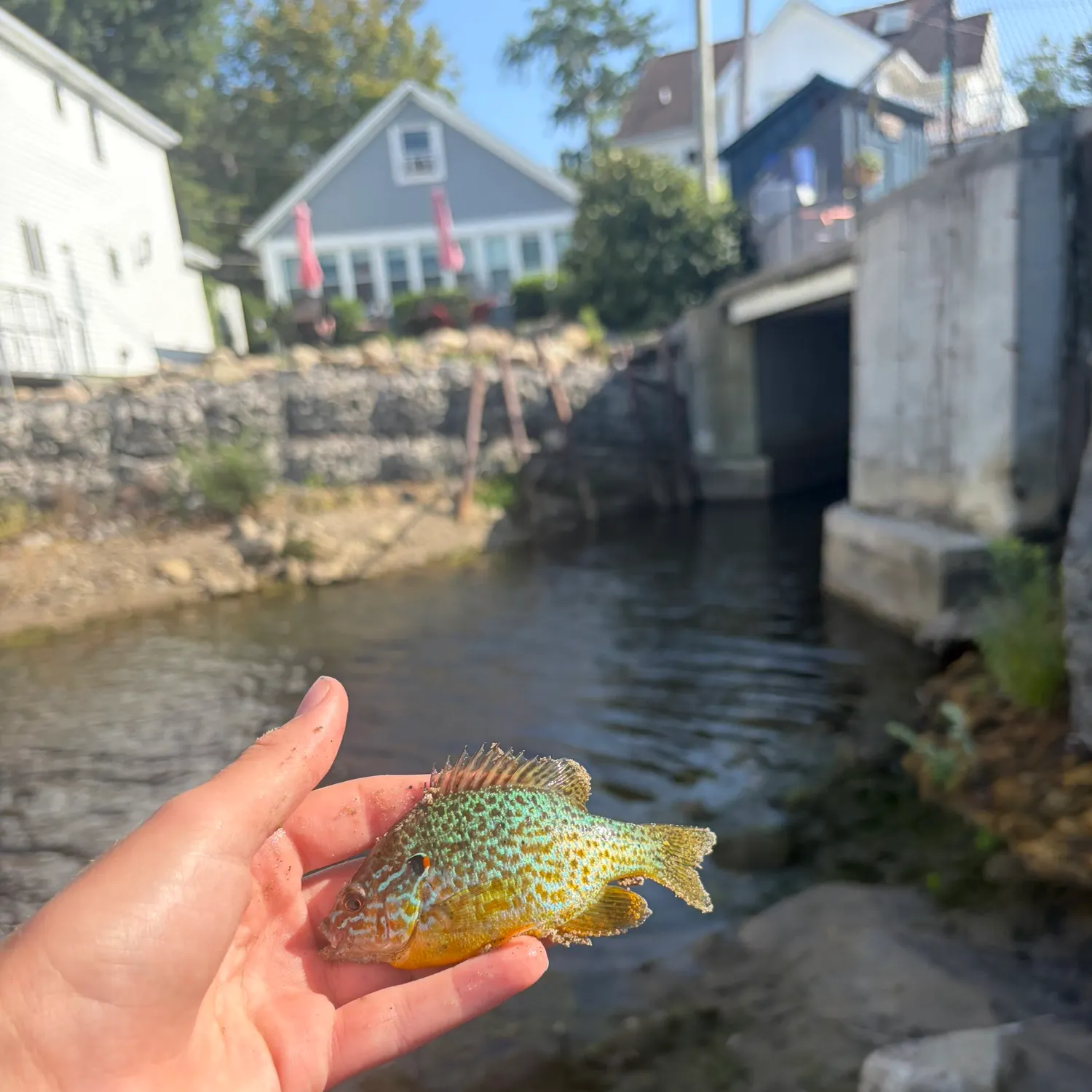 catch