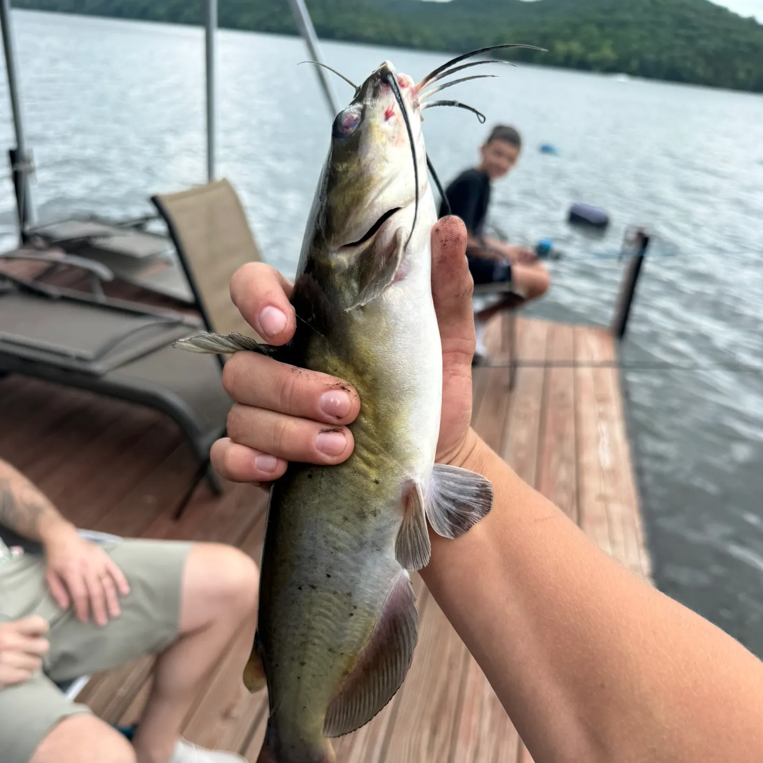 catch